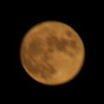 Profile picture of caroleb9