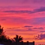 Profile picture of bearpaw07